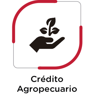 Créditos - Caja Maynas
