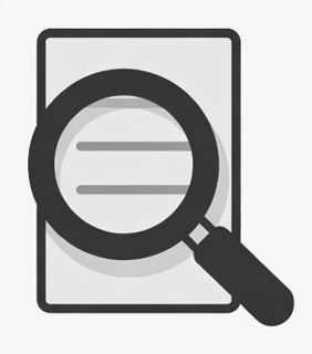 Consultar una denuncia